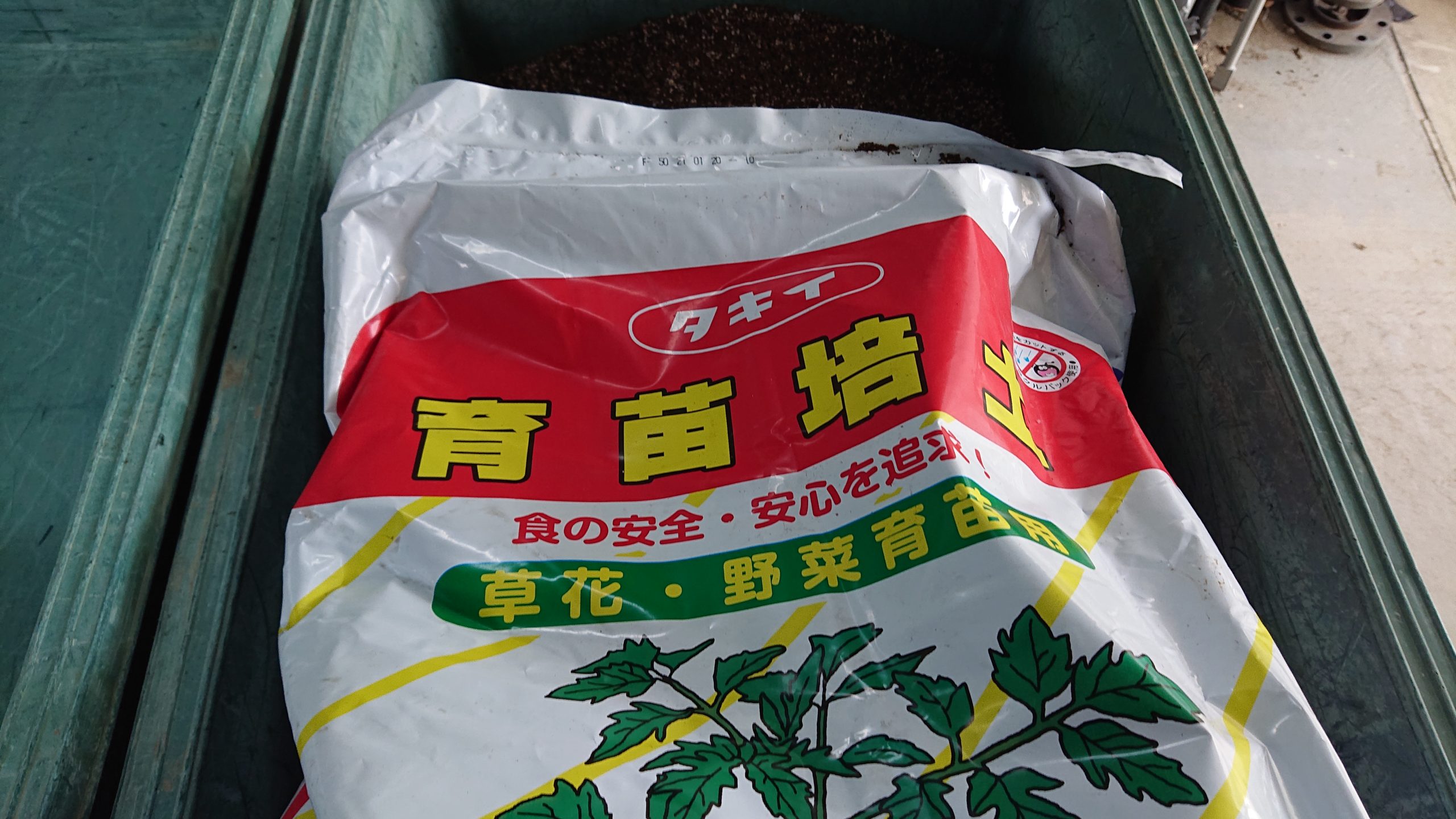 たんくろう枝豆播種 滋賀アグリ 村林